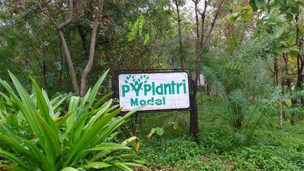 Cộng đồng nhỏ Piplantri đã trở thành hình mẫu cho chủ nghĩa môi trường và nữ quyền. Ảnh: Bhavya Dore