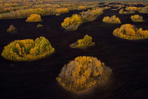 Lặng người trước vẻ đẹp mê hồn của vùng Siberia (Nga) giữa thu