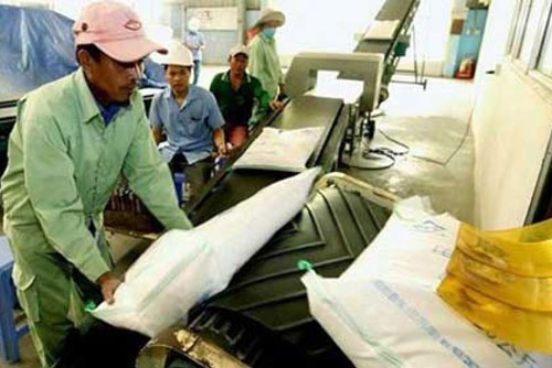 Gạo Việt Nam bán tại Anh hầu hết không mang thương hiệu của nhà xuất khẩu Việt