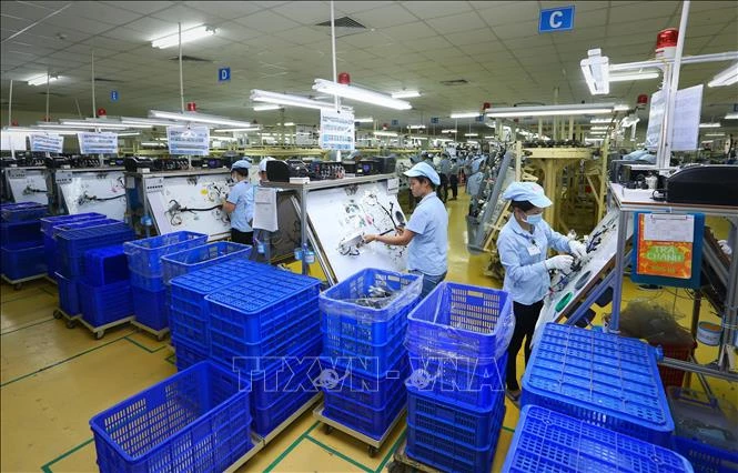 Sản xuất linh kiện điện tử tại Công ty TNHH Điện - Điện tử Mê Trần Vĩnh Phúc. Ảnh minh họa: Danh Lam/TTXVN.