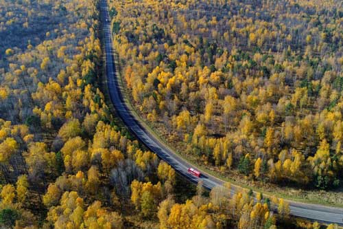 Lặng người trước “50 sắc thái” mùa thu trên khắp thế gian