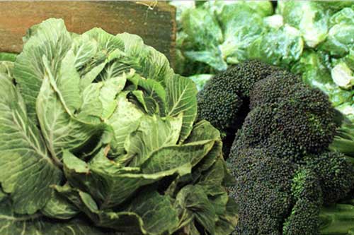 Ăn rau giàu nitrat mỗi ngày có thể giảm đáng kể nguy cơ mắc bệnh tim mạch và đột quỵ