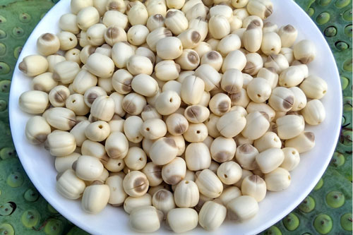 C&#xE1;ch gi&#xFA;p b&#x1EA1;n ch&#x1ECD;n mua v&#xE0; b&#x1EA3;o qu&#x1EA3;n h&#x1EA1;t sen