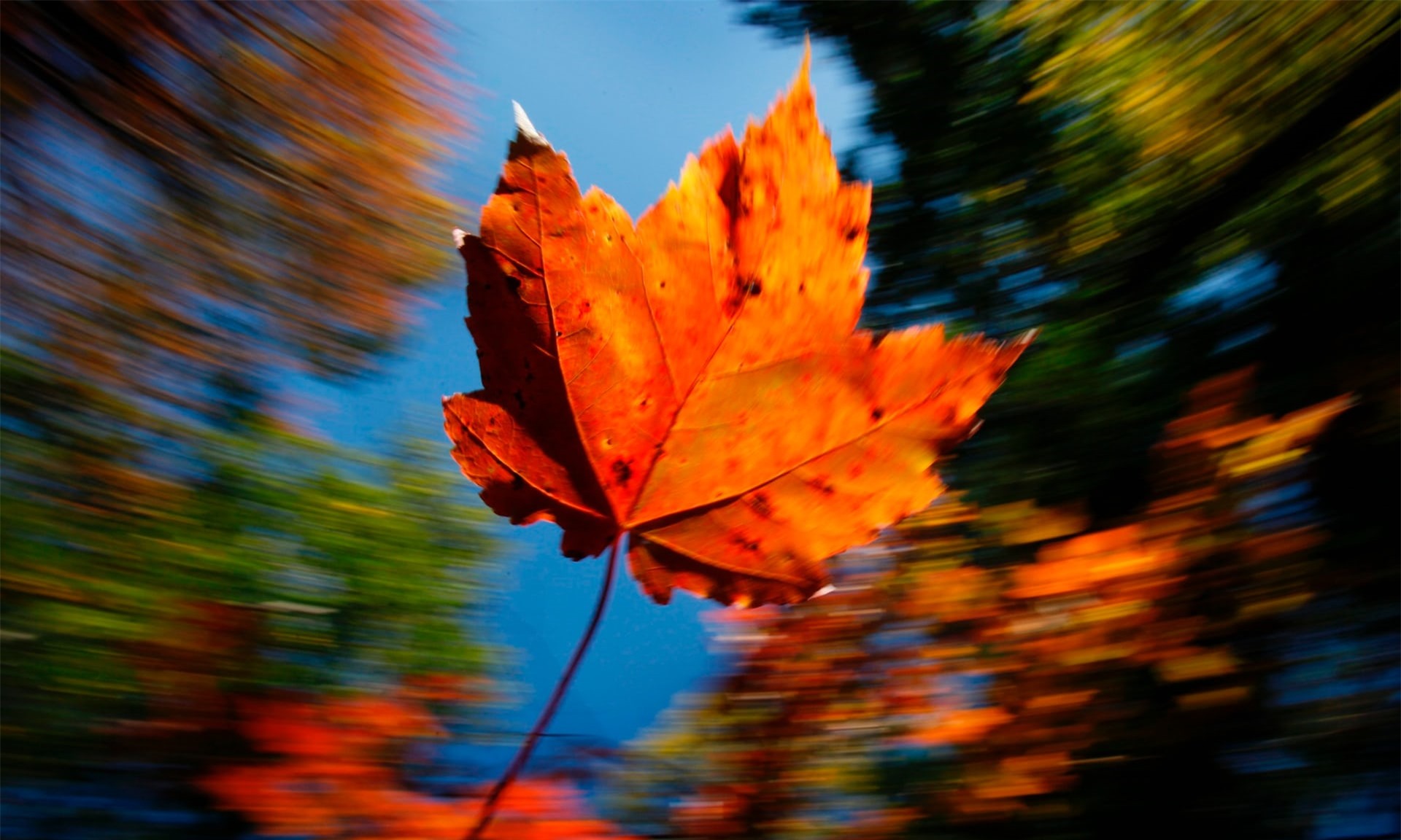 Осеннее состояние души. Осеннее настроение. Вот и осень. Осень мотиваторы. Вот и кончилось лето.
