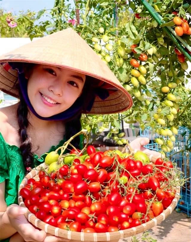Đội nón lá ra vườn thu hoạch cà chua mà con gái Lọ Lem của Quyền Linh vẫn xinh đẹp, gây xao xuyến thế này đây - Ảnh 2.