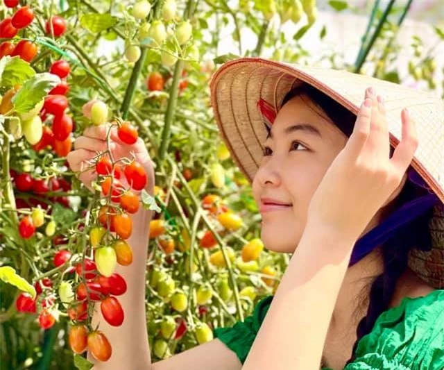 Đội nón lá ra vườn thu hoạch cà chua mà con gái Lọ Lem của Quyền Linh vẫn xinh đẹp, gây xao xuyến thế này đây - Ảnh 4.