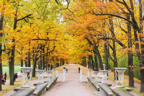 Ngỡ ngàng trước cảnh sắc say lòng người của nước Nga