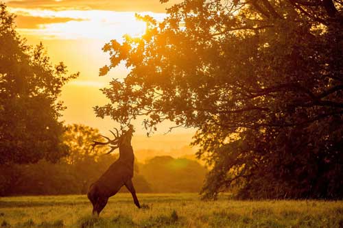 Ngỡ ngàng trước thiên nhiên đẹp đến mê hồn trong sắc Thu huyền ảo