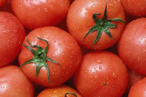 Mẹo chọn được cà chua tươi ngon, mọng nước chỉ cần nhắm vào duy nhất điểm này