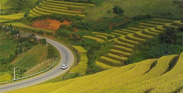 Đèo Khau Phạ, Yên Bái. Nguồn ảnh: Internet