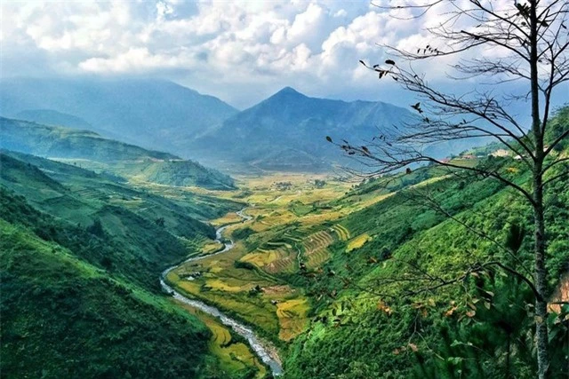 Khung cảnh ở đèo Khau Phạ đẹp nhất vào mùa lúa chín.  (Ảnh: Trang Pear)