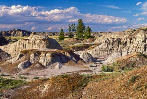 Chiêm ngưỡng công viên hóa thạch khủng long lớn nhất thế giới