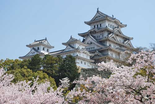 Chiêm ngưỡng lâu đài Osaka - biểu tượng chính của Nhật Bản