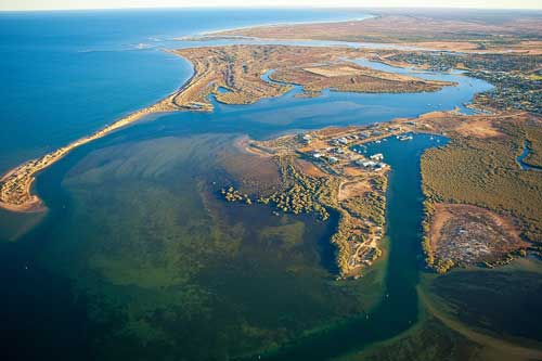 Khám phá vẻ bí ẩn của Vịnh Shark - miền Tây Gascoyne, nước Úc
