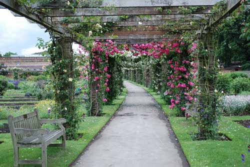 Khám phá vườn thực vật hoàng gia Kew - đẹp nhất nước Anh