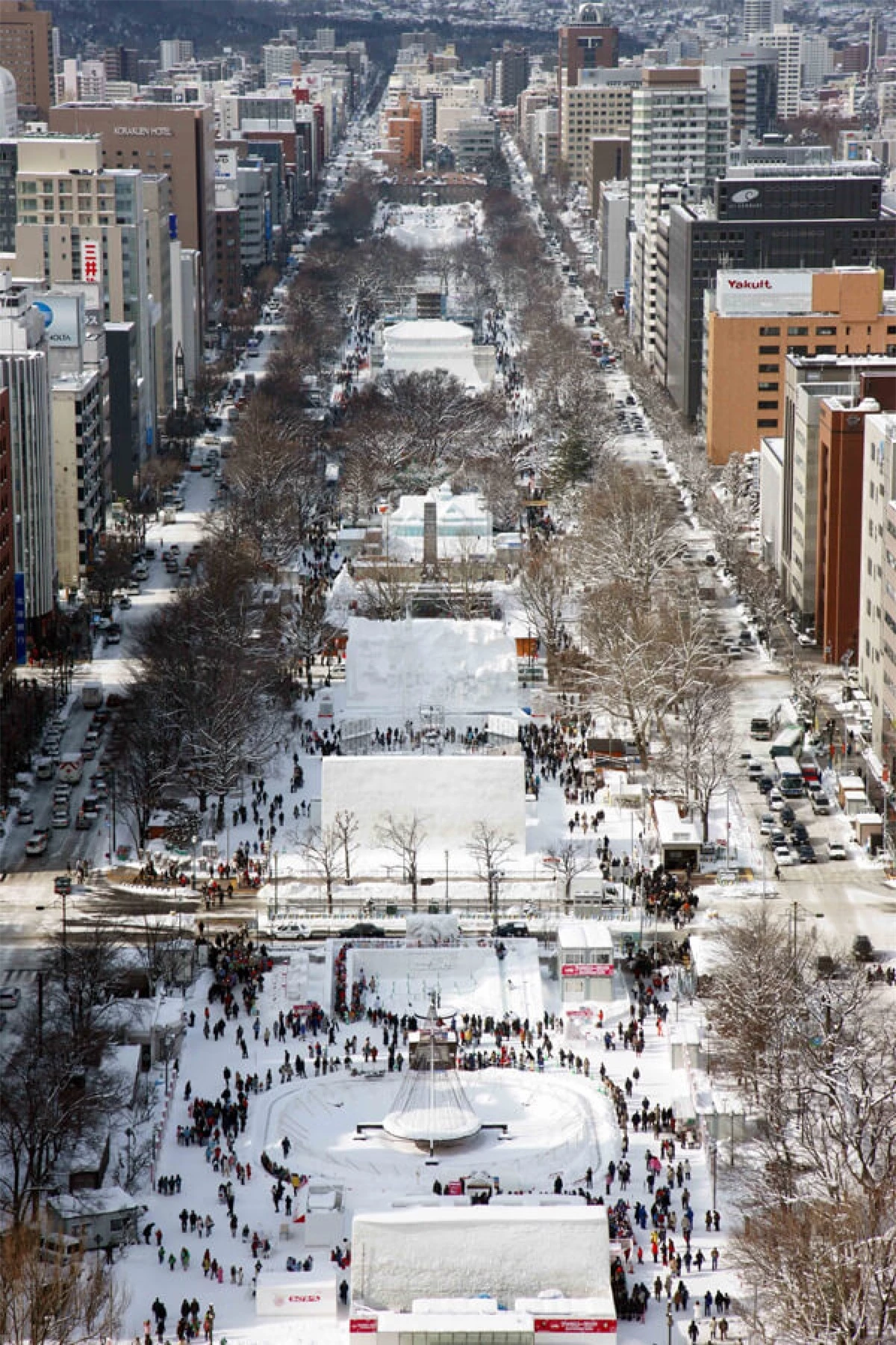 Công viên Odori nằm ở Sapporo – thành phố phía Tây Nam của Hokkaido. Nơi đây là một ốc đảo đô thị được bao quanh bởi khoảng 4.700 loại cây thuộc 92 loài thực vật như cây tử đinh hương với hoa tím tuyệt đẹp và cây du vốn được trồng rất nhiều ở Nhật Bản.