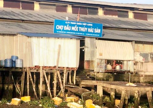 An Giang: Chợ đầu mối thủy hải sản vi phạm các quy định về bảo vệ môi trường