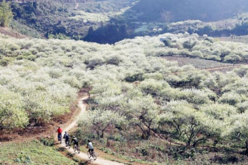 Những địa điểm du lịch đẹp như mơ trong tháng 5