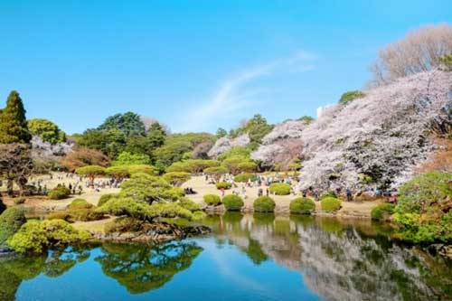 Những công viên đẹp nhất thủ đô Tokyo