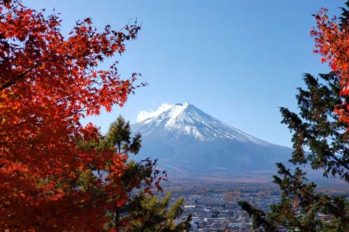 Nét êm dịu và quyến rũ bất tận của mùa Thu Nhật Bản