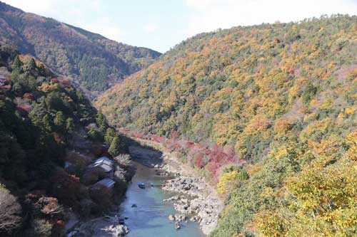 Ngắm mùa thu Nhật Bản trên tuyến tàu xuyên núi