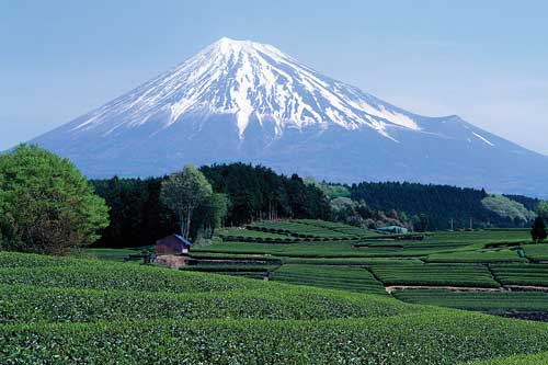 Núi Phú Sĩ - Ngọn núi nổi tiếng và cao nhất Nhật Bản