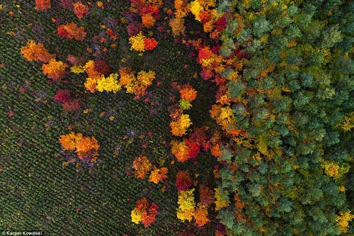 Choáng ngợp với vẻ đẹp lộng lẫy của Trái đất nhìn từ trên cao