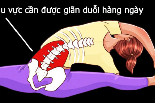 5 bài tập kéo giãn cột sống, giảm đau lưng cho dân văn phòng hiệu quả