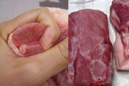 4 loại thịt lợn dù rẻ đến mức nào cũng không nên mua kẻo ăn vào ngộ độc