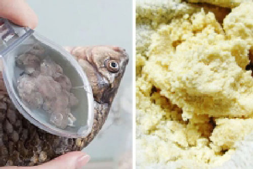 5 thứ tưởng vô dụng chúng ta vứt đi hàng ngày là 'sát thủ' chống ung thư cực mạnh