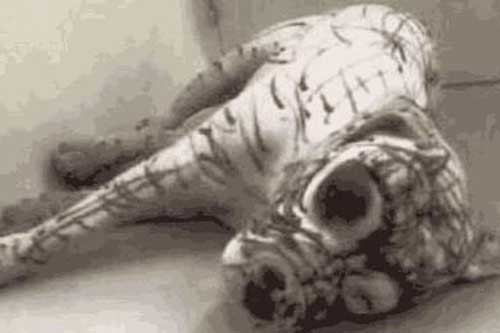 Để con chơi với cún cưng như mọi ngày nhưng một lúc sau không nghe thấy tiếng nô đùa, người mẹ vội vào xem rồi "đứng hình" vì cảnh tượng trước mắt