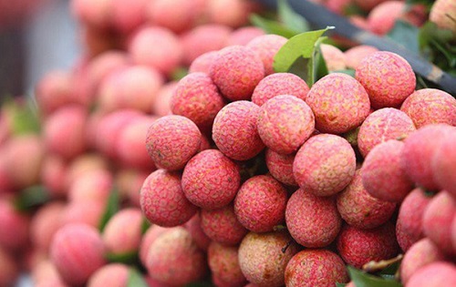 Hải Dương giúp nông dân bán vải trên sàn thương mại điện tử, thay vì kêu gọi giải cứu