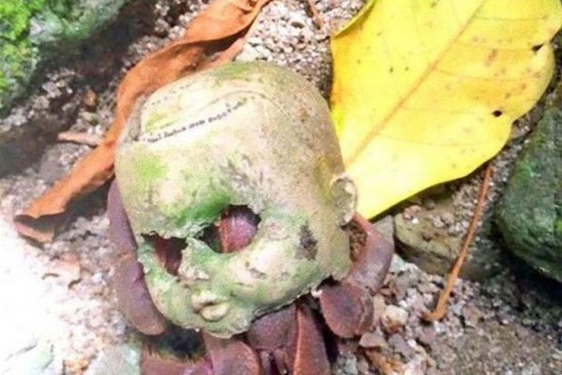 20 hình ảnh tưởng bình thường nhưng có thể khiến bạn ớn lạnh hơn cả phim kinh dị