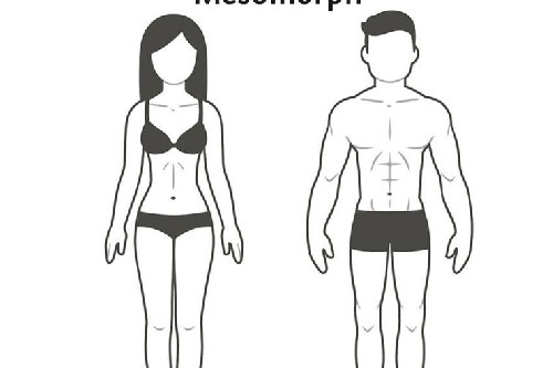 Cách ăn uống và tập luyện phù hợp với từng tạng người