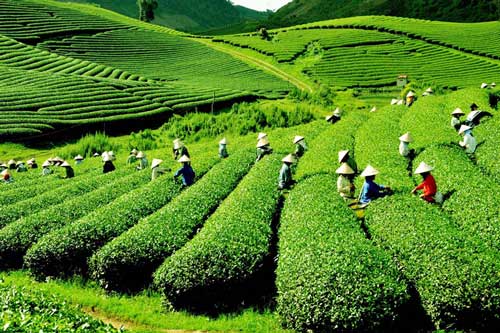 Lai Châu - điểm khám phá lý tưởng trên hành trình Tây Bắc