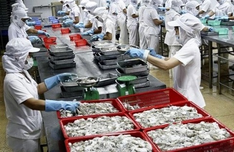 Cổ phiếu TS4 bị đưa vào diện kiểm soát đặc biệt từ 14/5