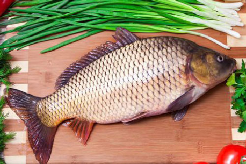 Lý do bà bầu nên thường xuyên ăn cá chép