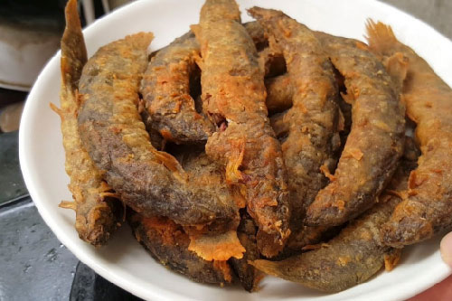 6 loại cá đại bổ không 'thần dược' nào sánh bằng, bảo vệ não, tim tốt hơn thịt 10 lần