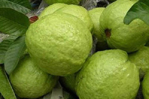 5 loại quả giàu canxi hơn sữa bà bầu nên ăn thường xuyên