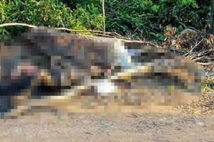 Hà Tĩnh: Điều tra nguyên nhân người đàn ông chết cháy dưới chân núi Nam Giới