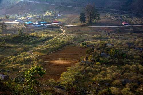 Cao nguyên Mộc Châu đẹp ngỡ ngàng giữa mùa xuân