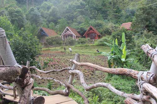 Thăm ngôi làng Cù Lần đẹp như cổ tích ở Đà Lạt