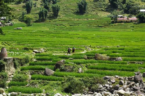 Những hình ảnh đời thường đẹp giản dị mà cuốn hút ở Sa Pa