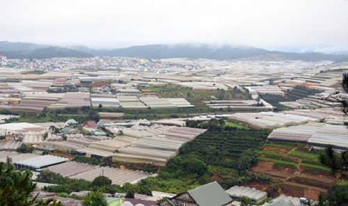 Lâm Đồng chính thức “khai tử” dự án Khu Công nghiệp - Nông nghiệp Tân Phú