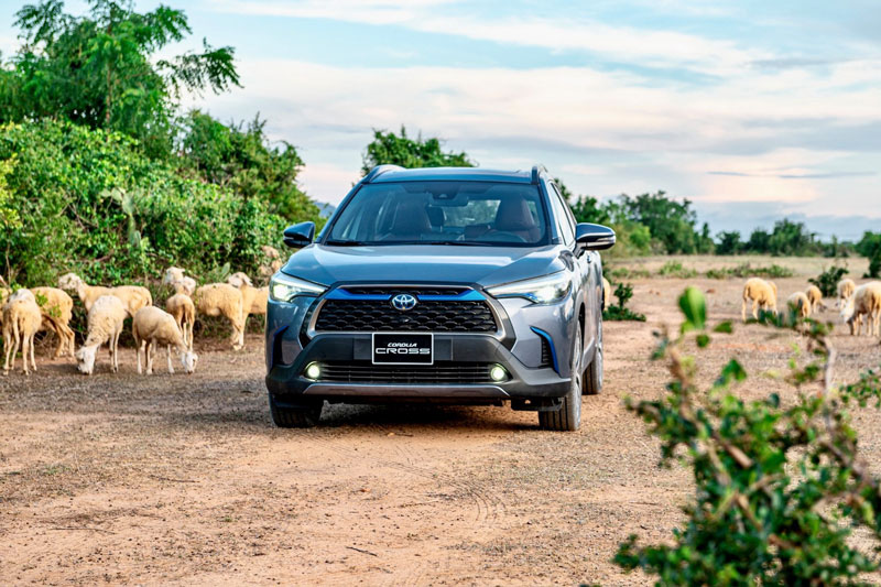 Gần 5.600 xe Toyota được giao đến tay khách hàng Việt trong tháng 4/2021