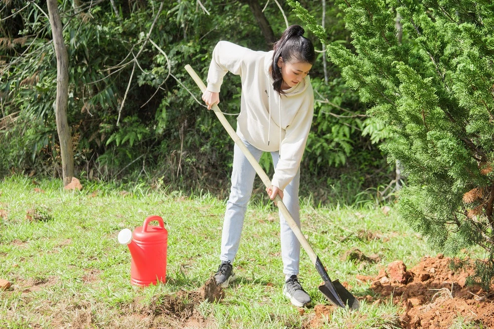 Miss Earth 2018 - Hoa hậu Phương Khánh lựa chọn trang phục giản dị với quần jeans và áo thun cho hoạt động ý nghĩa này. 