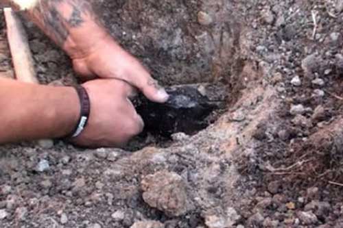 Phát hiện vật thể có màu vàng lại phát ra ánh sáng, người đàn ông liều lĩnh thò tay vào lấy, không ngờ tự tạo ra bi kịch