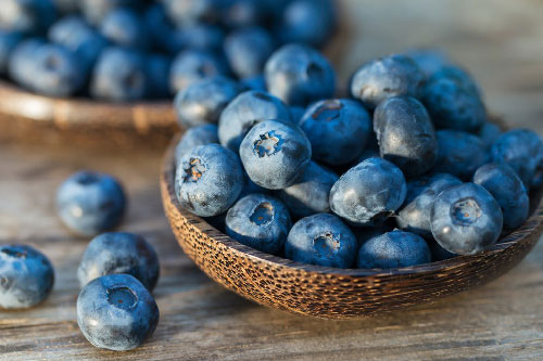 6 lợi ích của quả việt quất mà không nhiều người biết