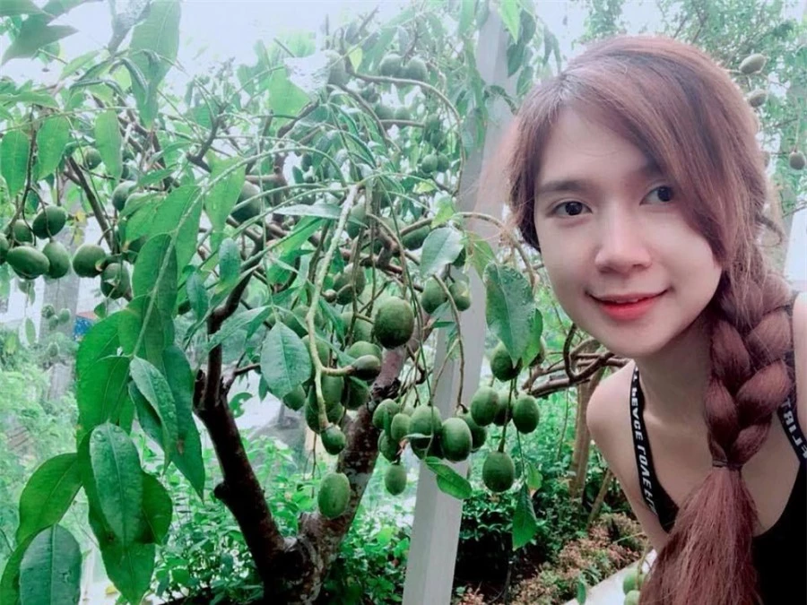 Minh Hà thích thú chụp hình bên cây cóc của gia đình mình