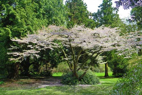Đẹp ngỡ ngàng tuyệt sắc thiên nhiên của nước Bỉ